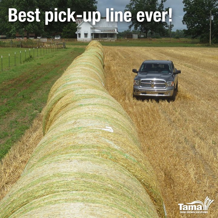 Best pick-up line ever!