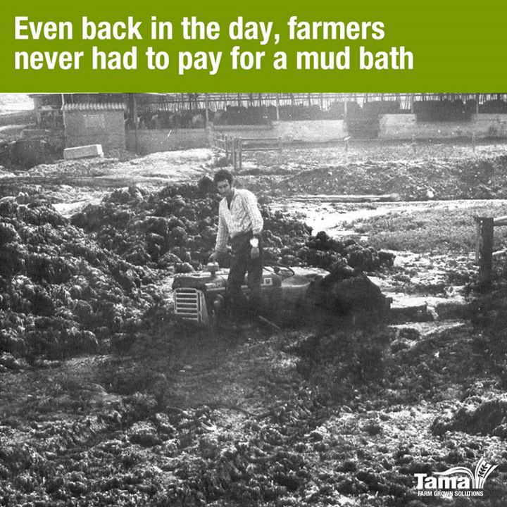 Even back in the day, farmers never had to pay for mud bath