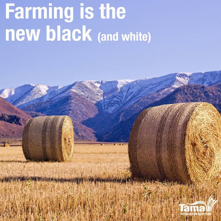 Farming is the new black