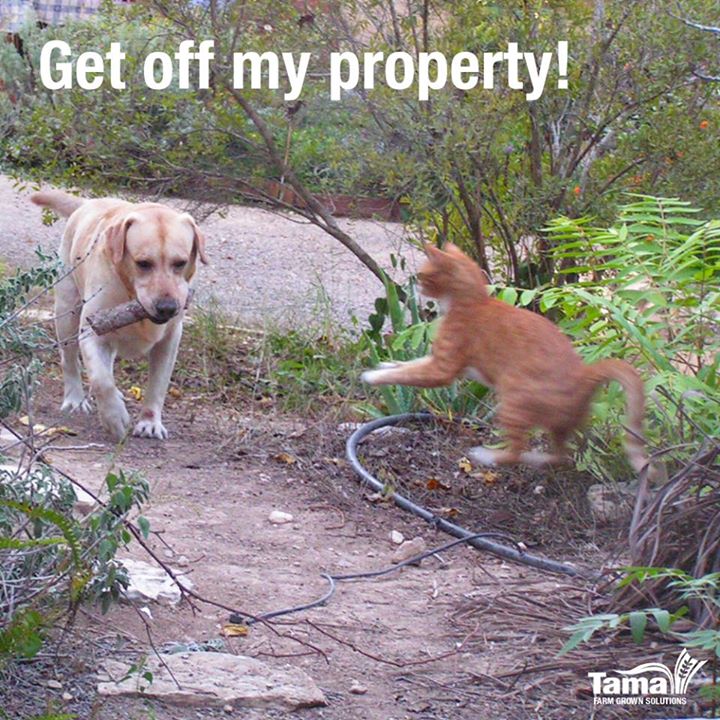 Get off my property