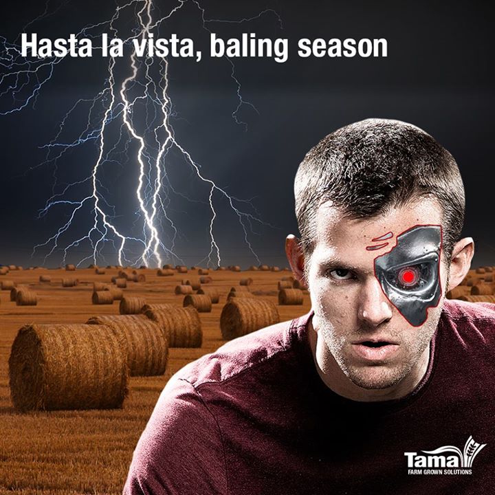 Hasta la vista, baling season