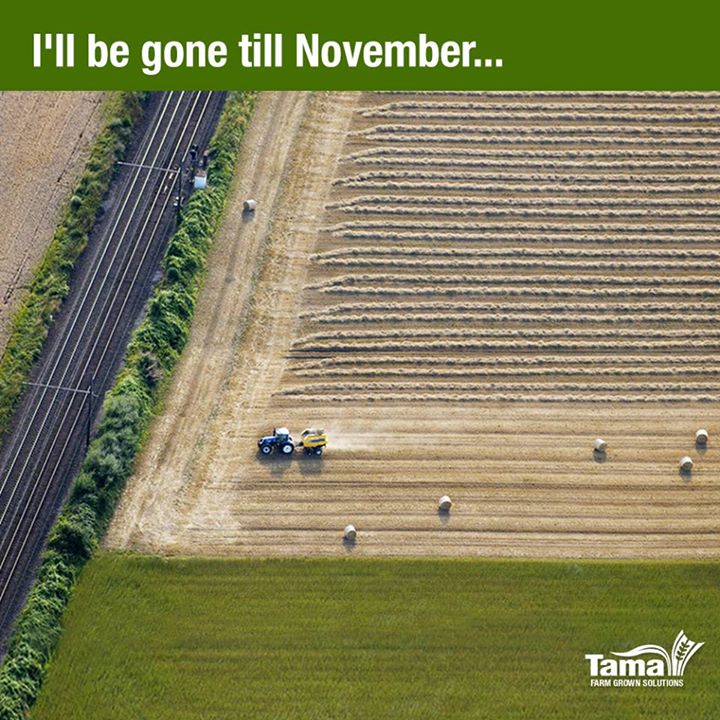 I'll be gone till November