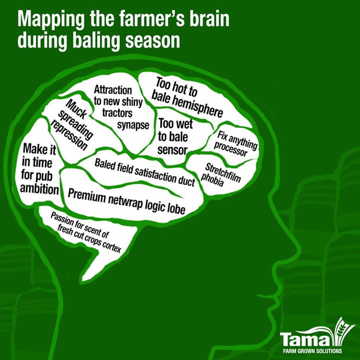 Mapping the farmer's brain during baling season