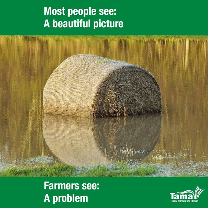 Most people see