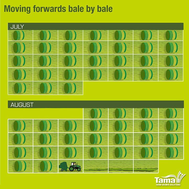 Moving for wards bale by bale