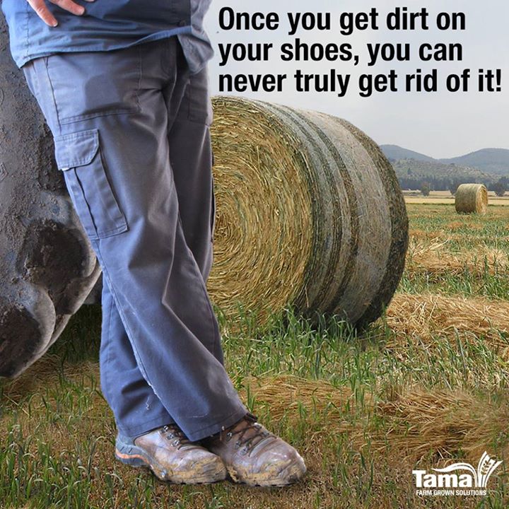Once you get dirt on your shoes, you can never truly get rid of it!