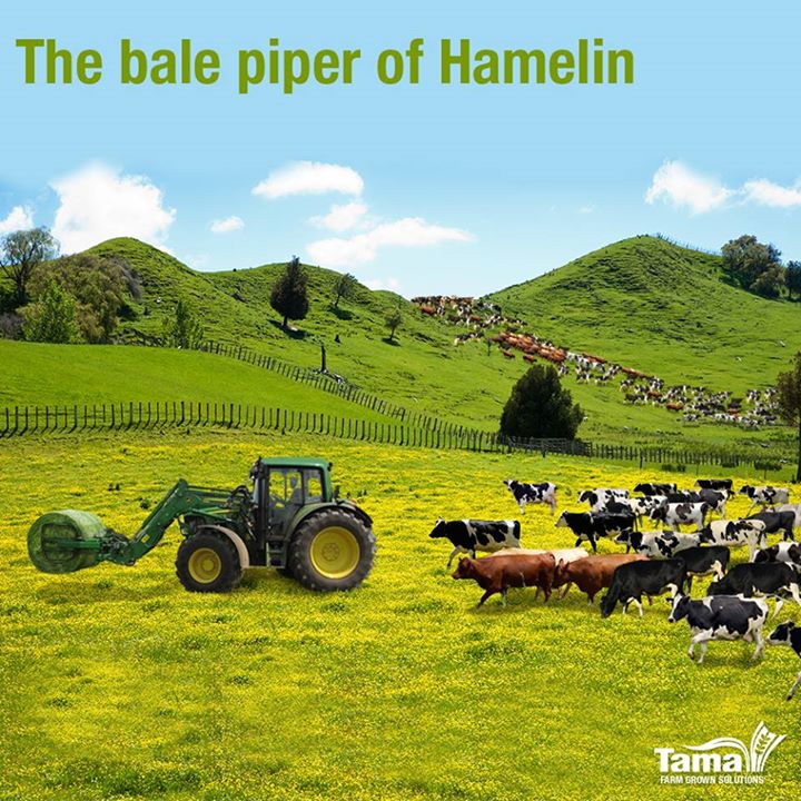 The bale piper of Hamelin