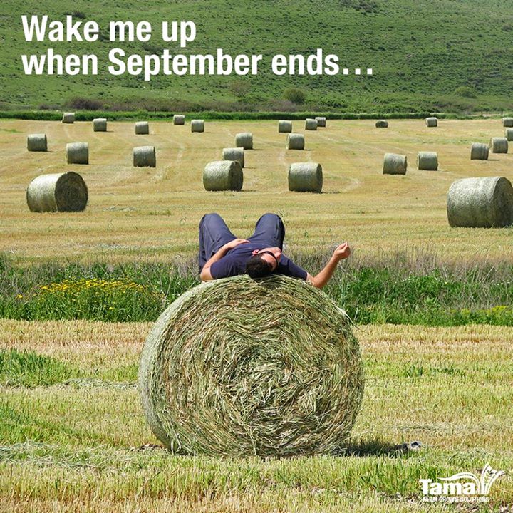 Wake me up when September ends