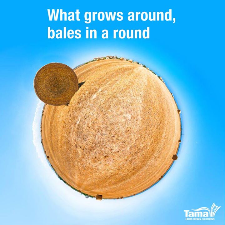 What grows around, bales in a round