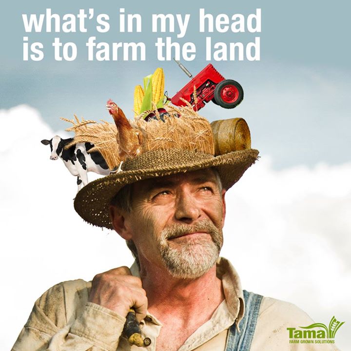 What's in my head is to farm the land
