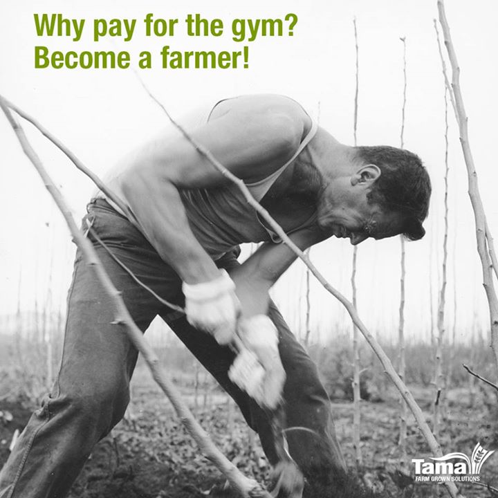 Why pay for the gym? Become a farmer