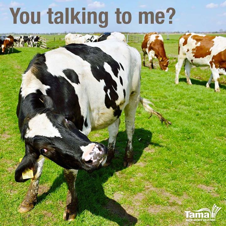 You talking to me?