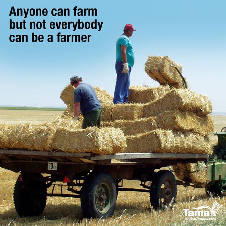 Anyone can farm but not everybody can be farmer