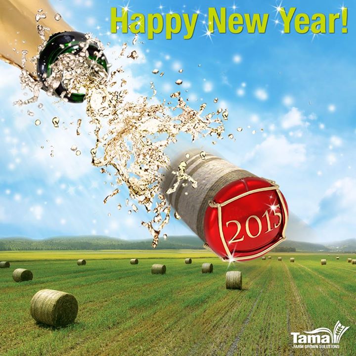 Happy New Year 2015
