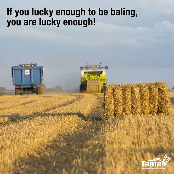 lucky enough to be baling