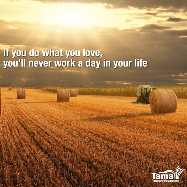 never work a day in your life