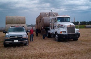 Loading hay bales