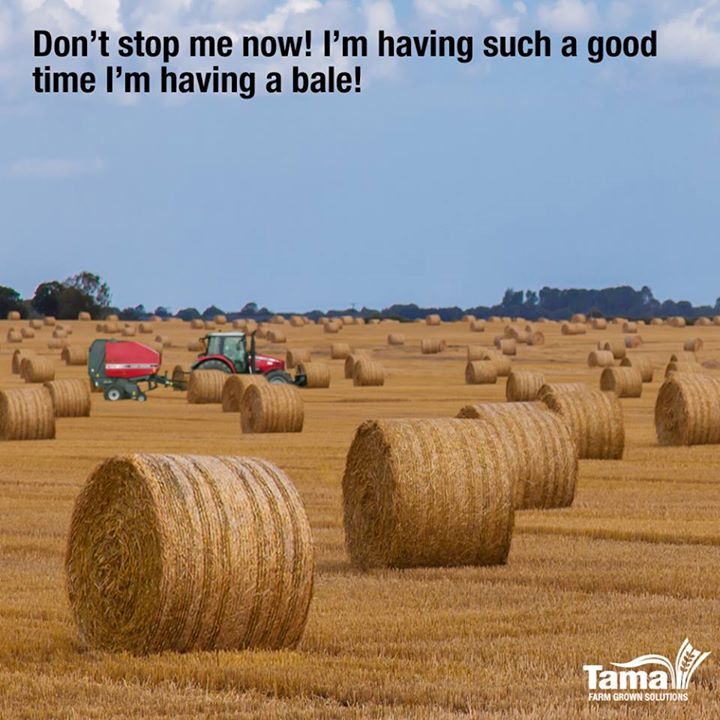 I'm having a bale