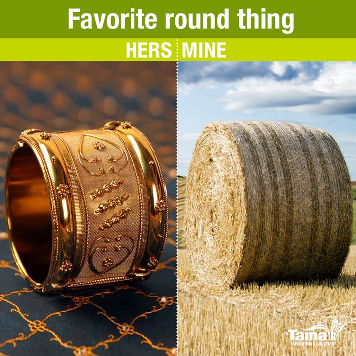 Favorite round thing