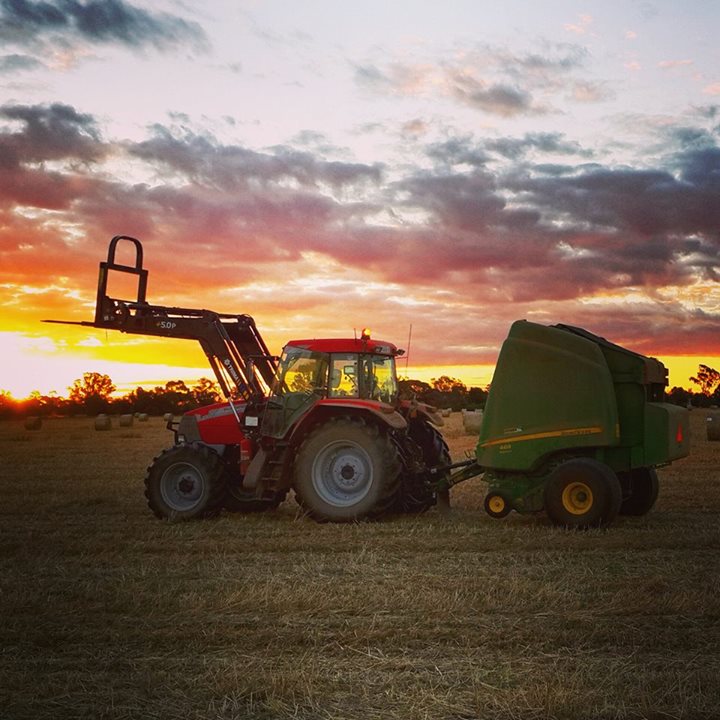 Red green and orange