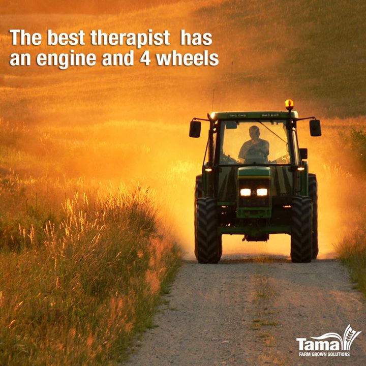 The best therapist