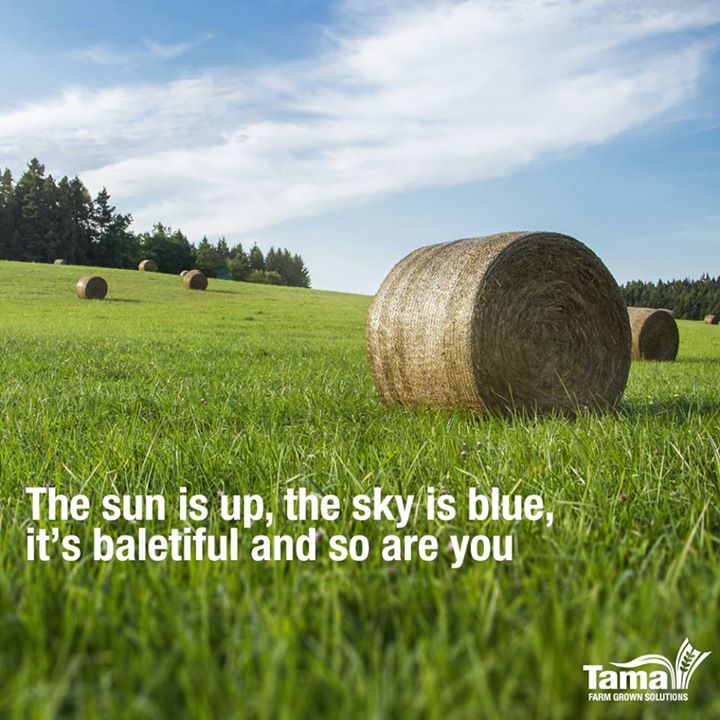 The sun is up
