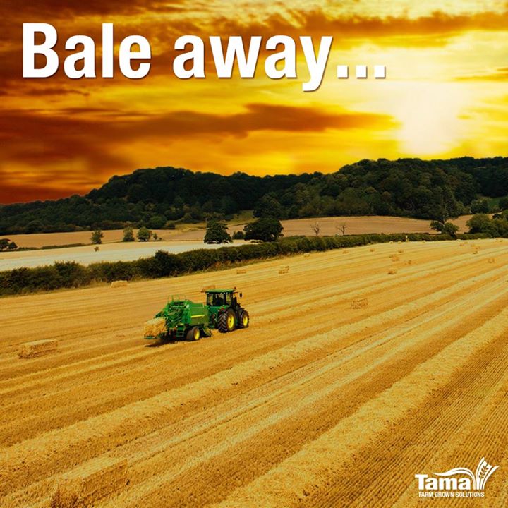 Bale away...