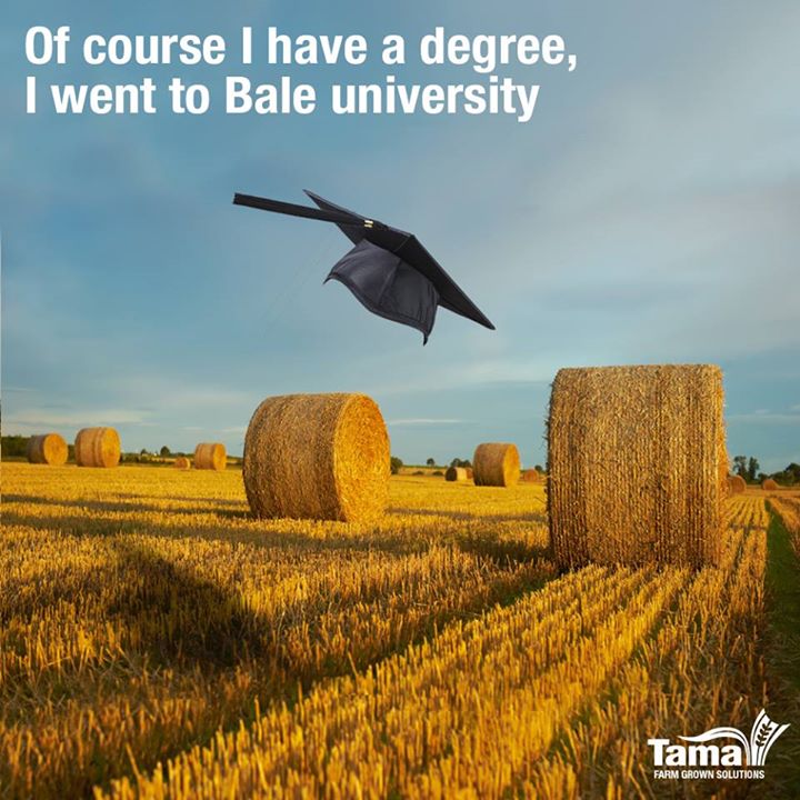 Bale university