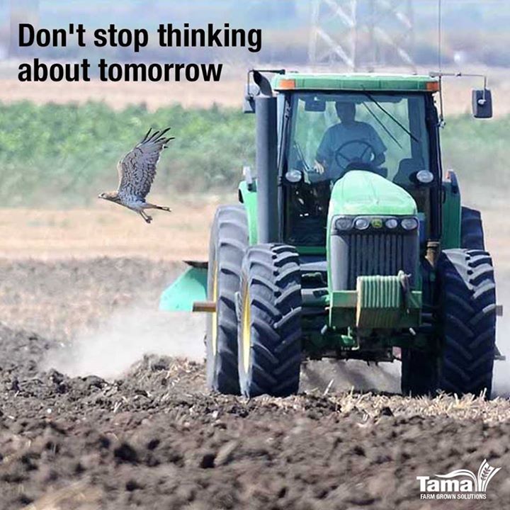 Don't Stop thinking about tomorrow