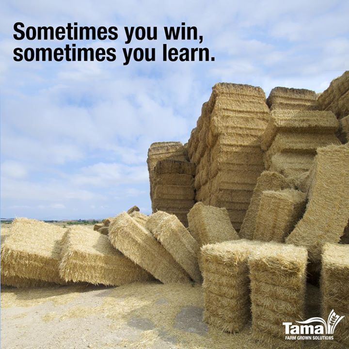 Sometimes you win