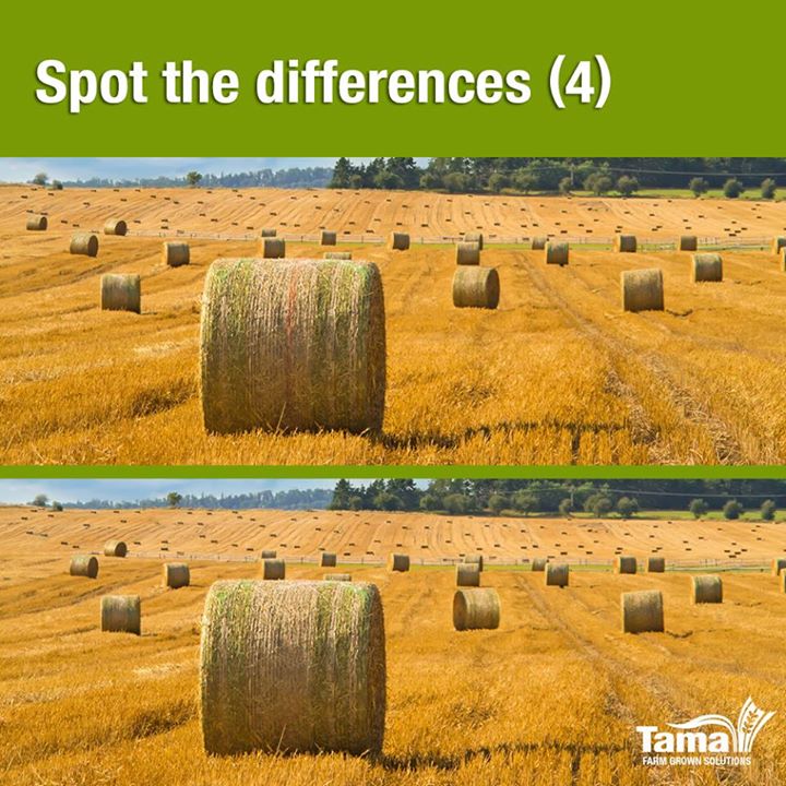 Spot the differences