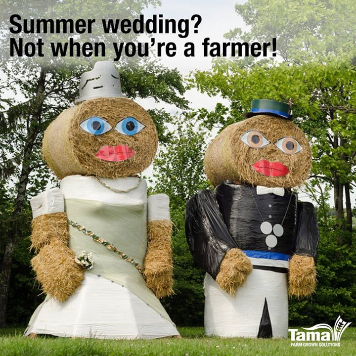 Summer wedding