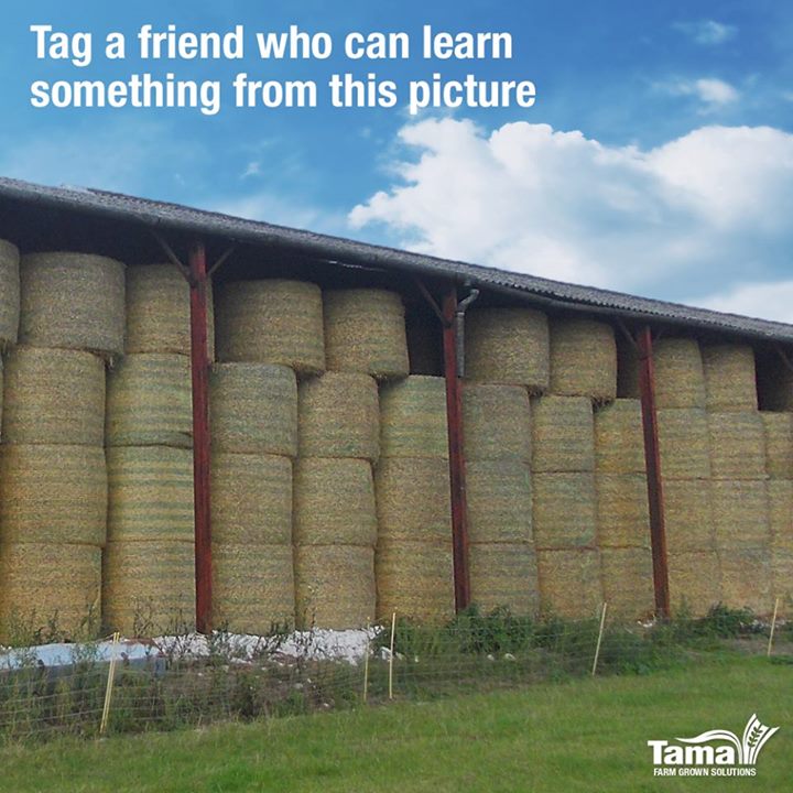 Tag a friend