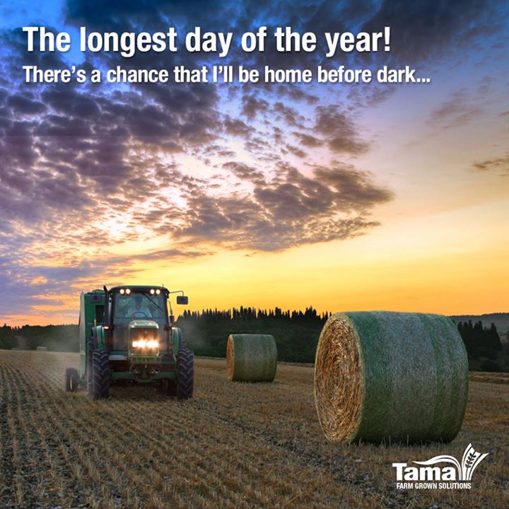 The longest day of the year