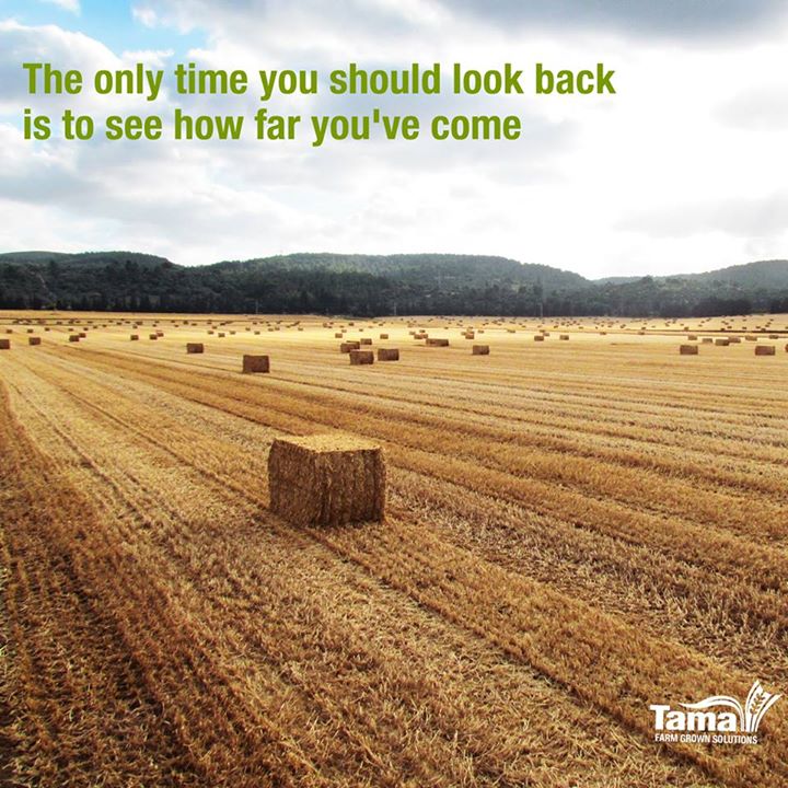 The only time you should look back