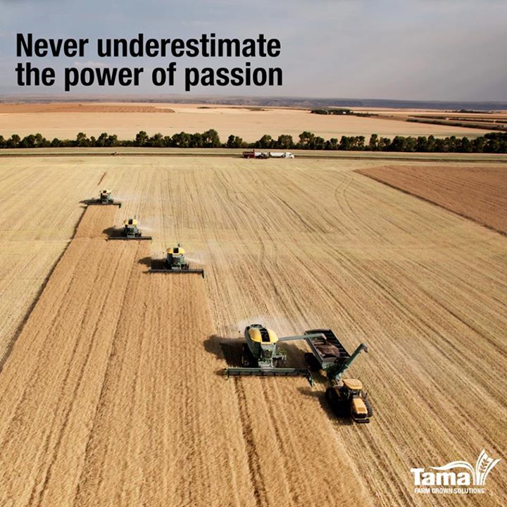 The power of passion