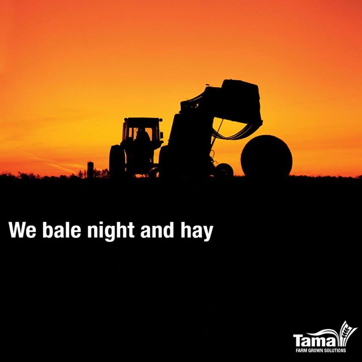 We bale night and hay