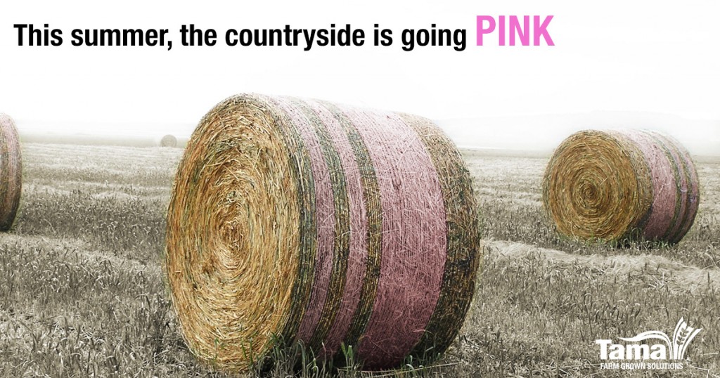tama goes pink