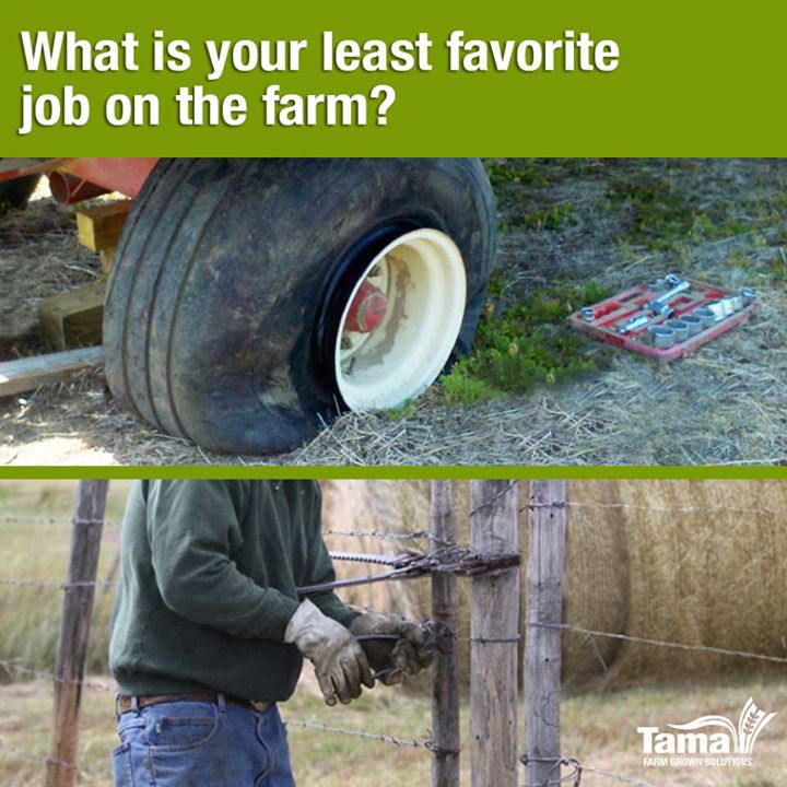Farmer thoughts