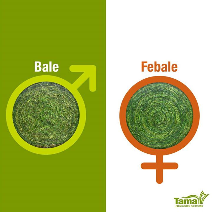 Bale or Febale