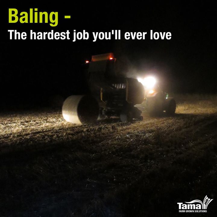 Good night, bale tight!