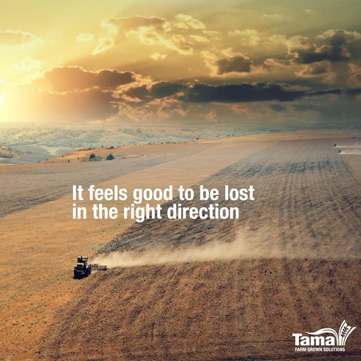 Lose yourself to farming
