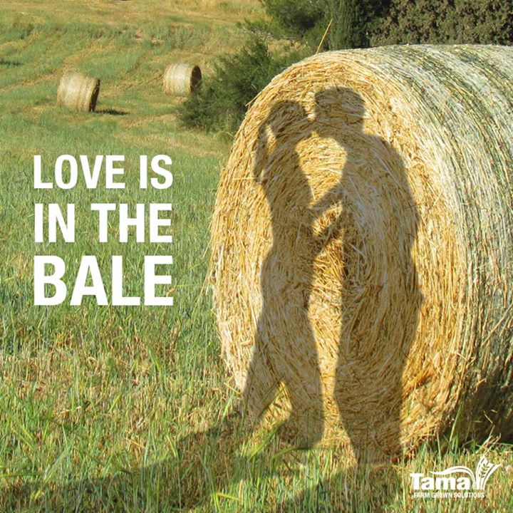 Love is in the Bale