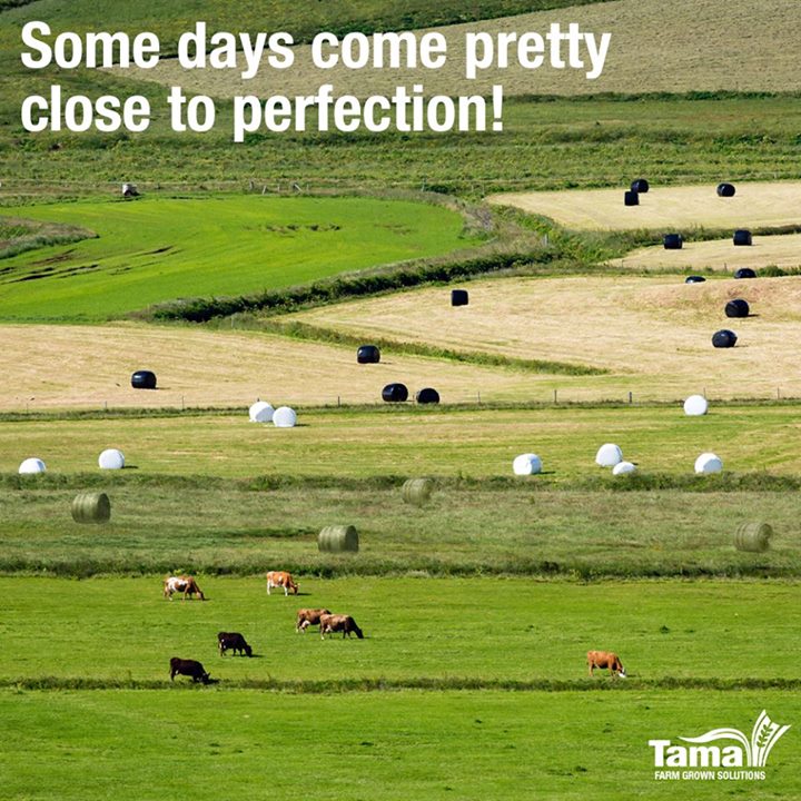 Farm perfection