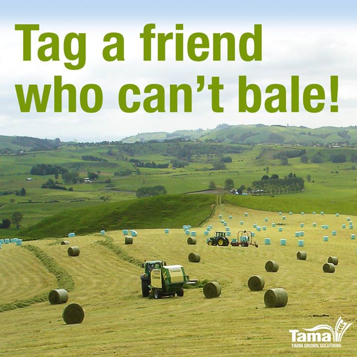 Tag a friend
