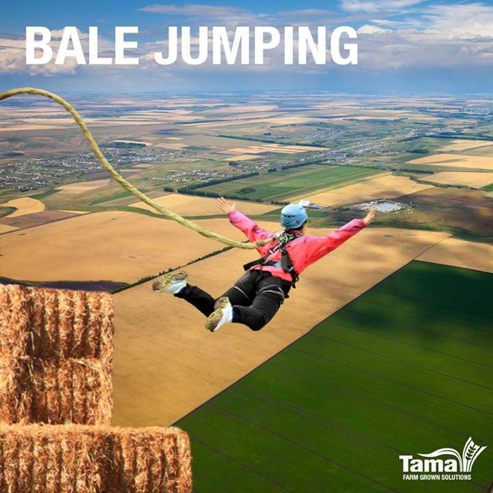 Bale Jumping Tama LSB