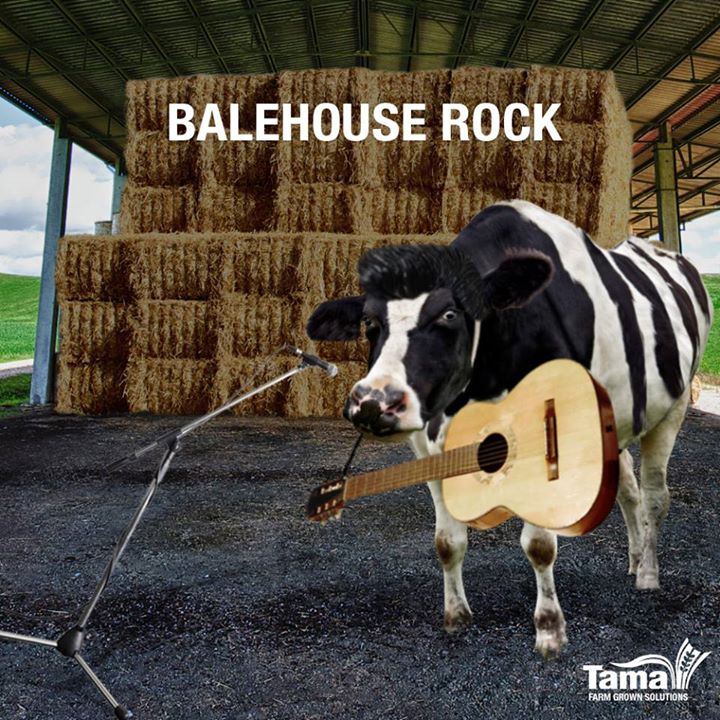 BaleHouse Rock