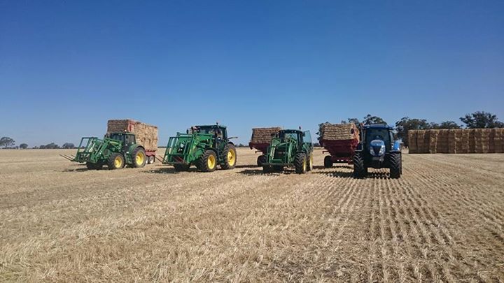 big square loads are leaving the field.