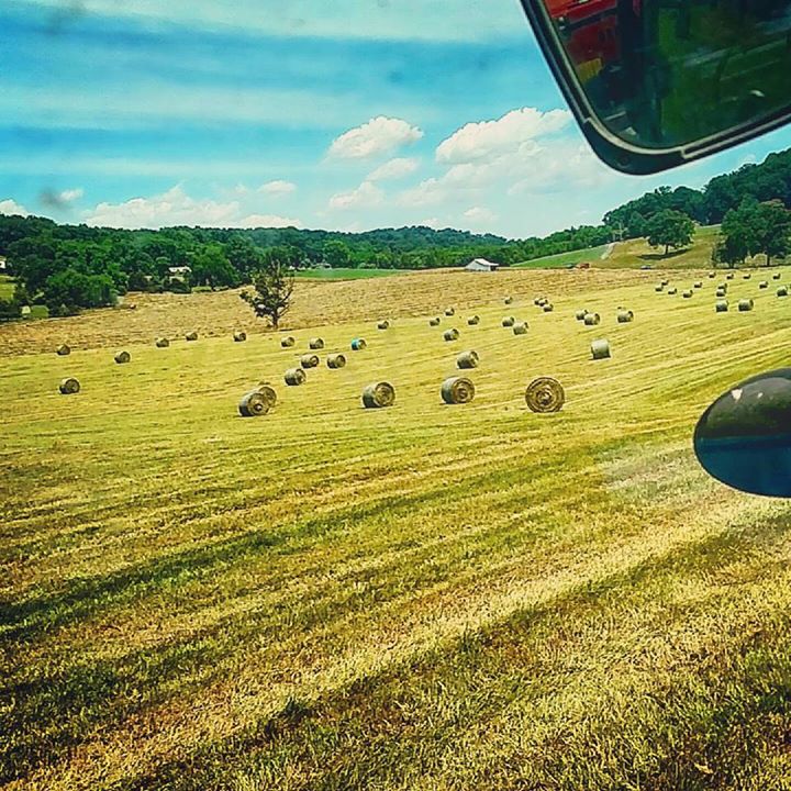 Hay Bales