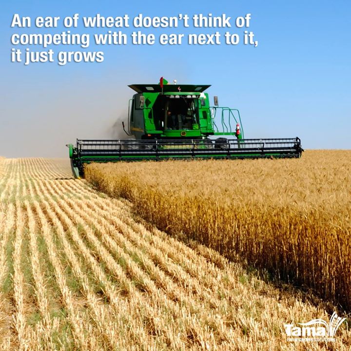 Something to think about